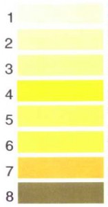 Wee_Chart