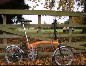 Ornage Brompton