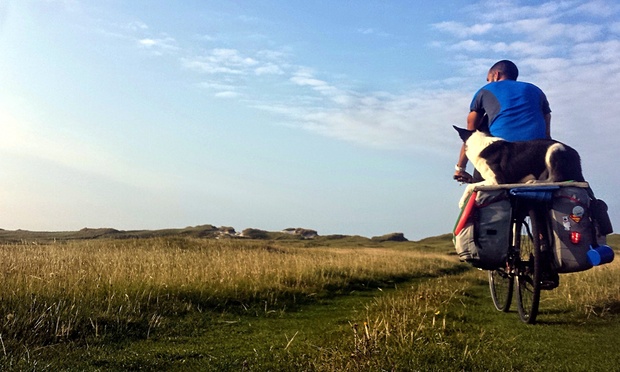 Great balancing by the dog!
