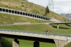 Alpine Bridges