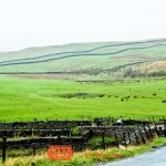 Yorkshire Grand Depart route - cycling photos