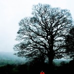 Yorkshire Grand Depart route - cycling photos