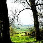 Yorkshire Grand Depart route - cycling photos