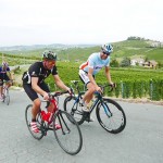 Stelvio Pass 2015 501