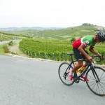 Stelvio Pass 2015 507