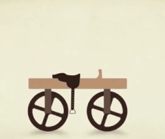 Evolution of the bike