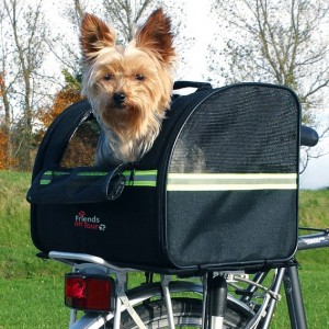 Dog carrier 1