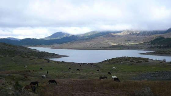 Day 3: Metsovo to Kozani