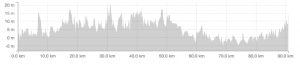 day-2-strava-copy