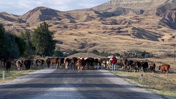 DAY 1 – CANDIR TO BOĞAZKALE