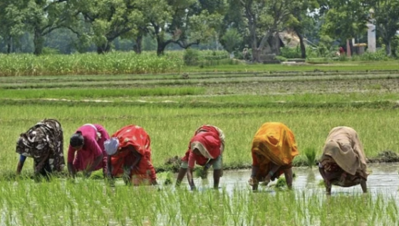 DAY 1 – TIJARA TO ALIGARH – 171KM, 868M TOTAL ASCENT