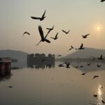 16a7edd9-b98b-497f-b7ef-68ffb5d47482