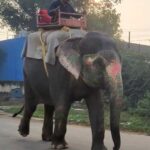 2F5E5A56-8F53-4D81-95EC-EE66AAB6B823