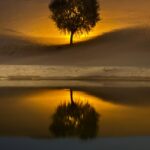 fe09cf7a-f611-49af-830e-f47b56d8ef70