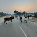 7CFC97EC-6067-429B-BD2B-7779D9B98964