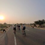 photo-7890_singular_display_fullPicture