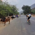 1CD656C1-B155-48E9-B5F6-E289ABFF4E62