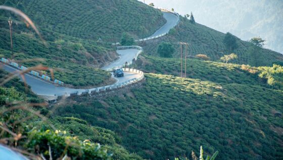 Day 5: Siliguri to Phuentsholing Day 5: Siliguri to Phuentsholing
